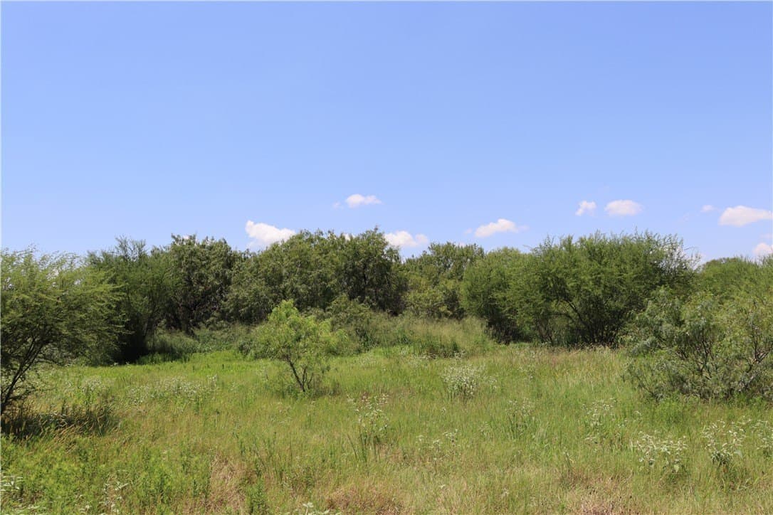 50.94 acres in San Patricio County - photo 37