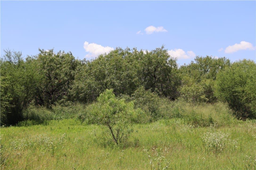 50.94 acres in San Patricio County - photo 38