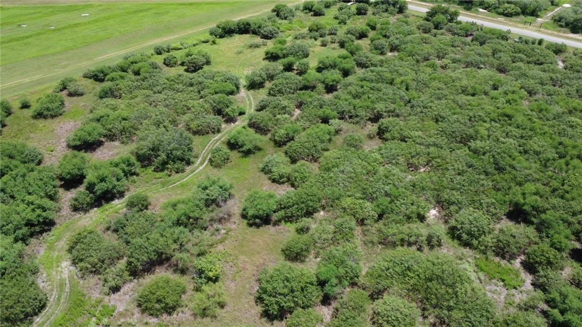 50.94 acres in San Patricio County - photo 27