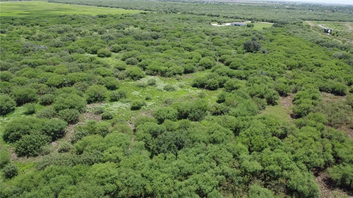 50.94 acres in San Patricio County - photo 26