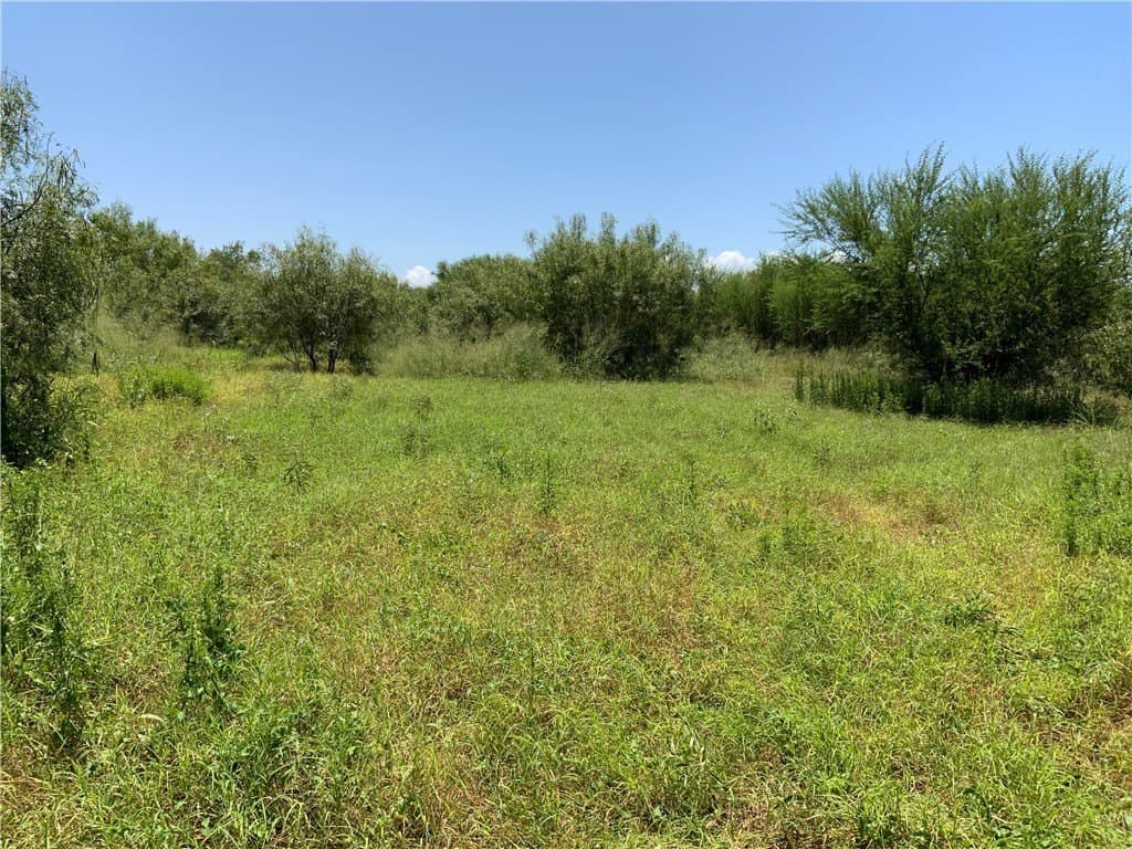 50.94 acres in San Patricio County - photo 5