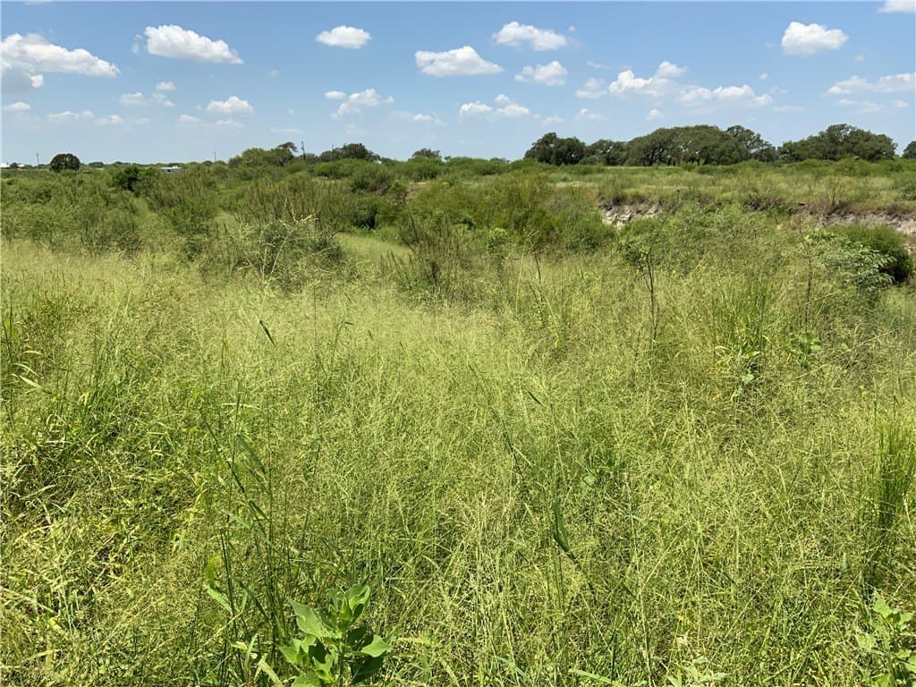 50.94 acres in San Patricio County - photo 12
