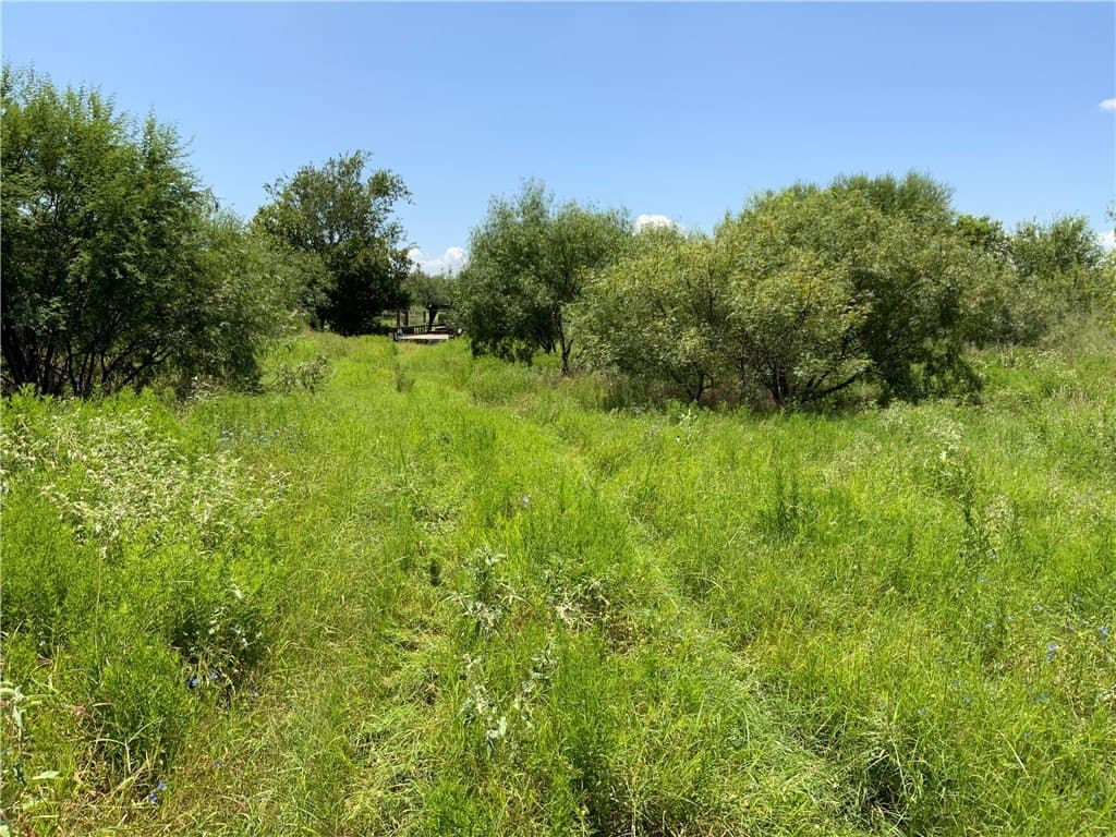 50.94 acres in San Patricio County - photo 3