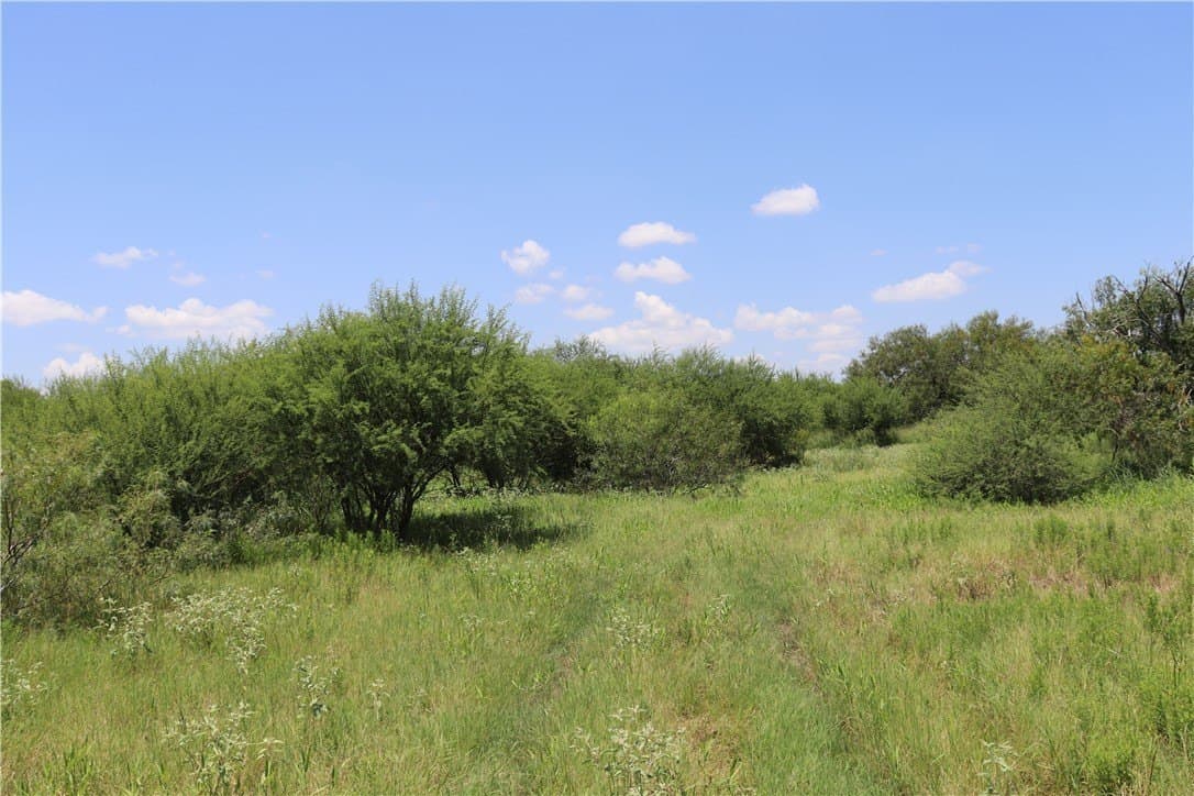 50.94 acres in San Patricio County - photo 39