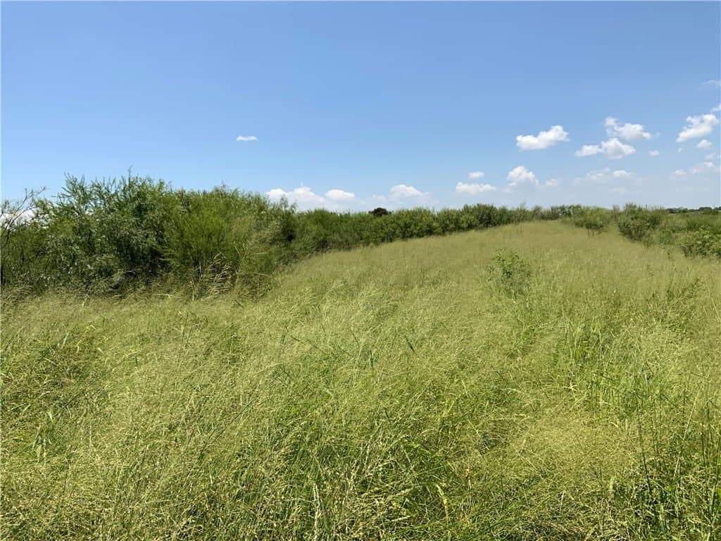 50.94 acres in San Patricio County - photo 10