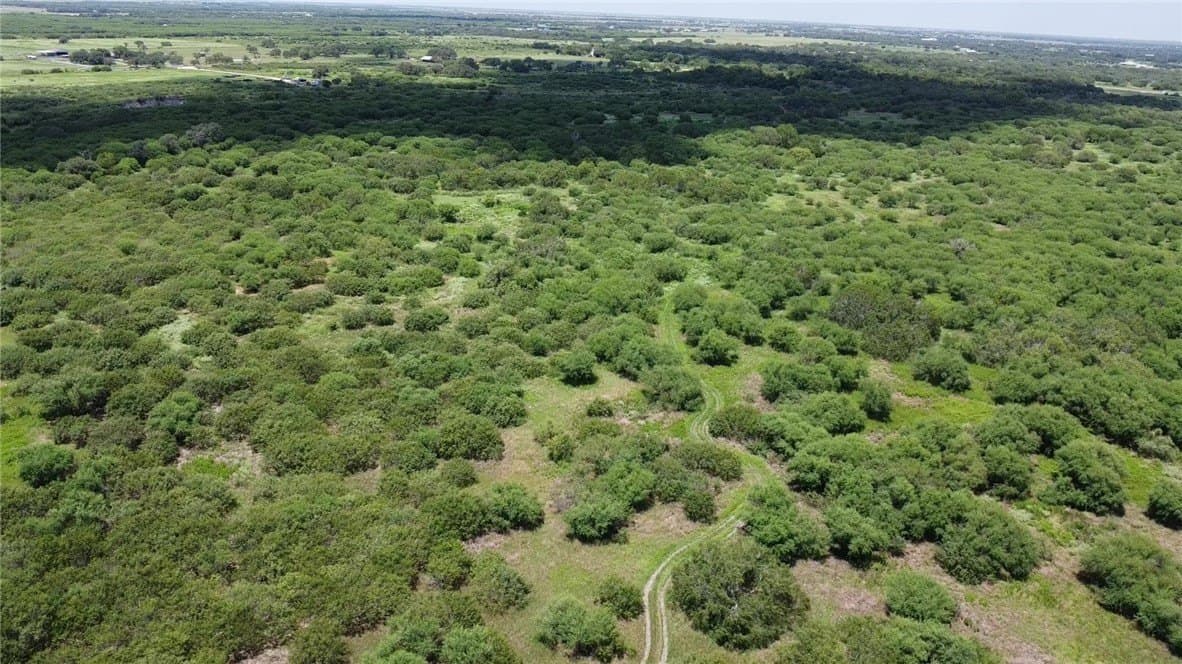50.94 acres in San Patricio County - photo 20