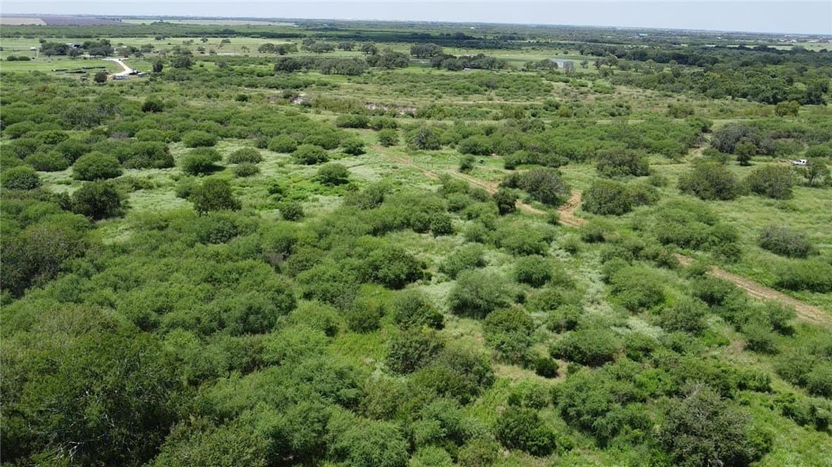 50.94 acres in San Patricio County - photo 22