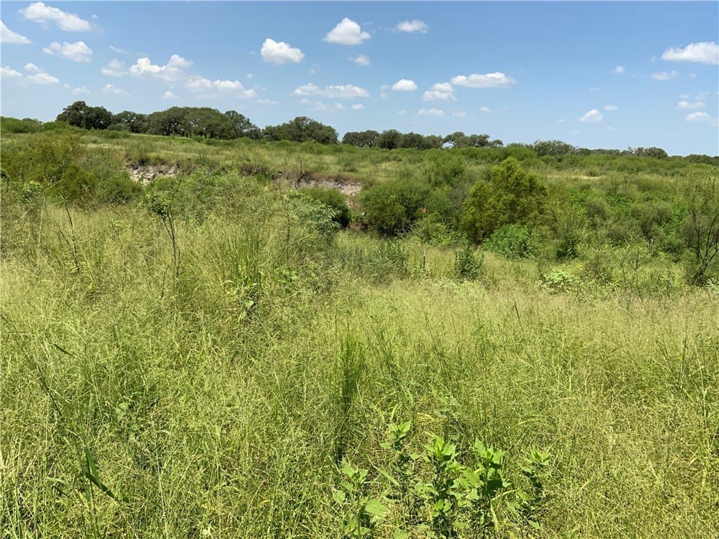 50.94 acres in San Patricio County - photo 11