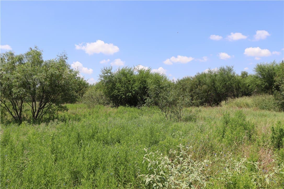 50.94 acres in San Patricio County - photo 33