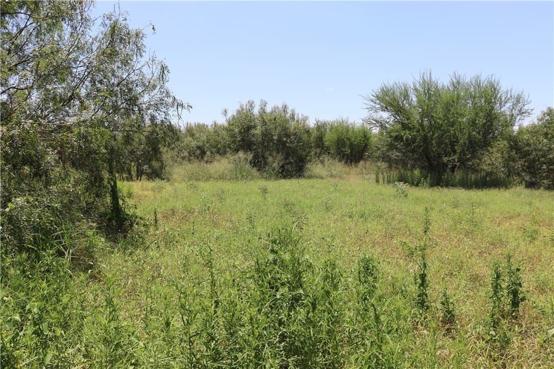 50.94 acres in San Patricio County - photo 34