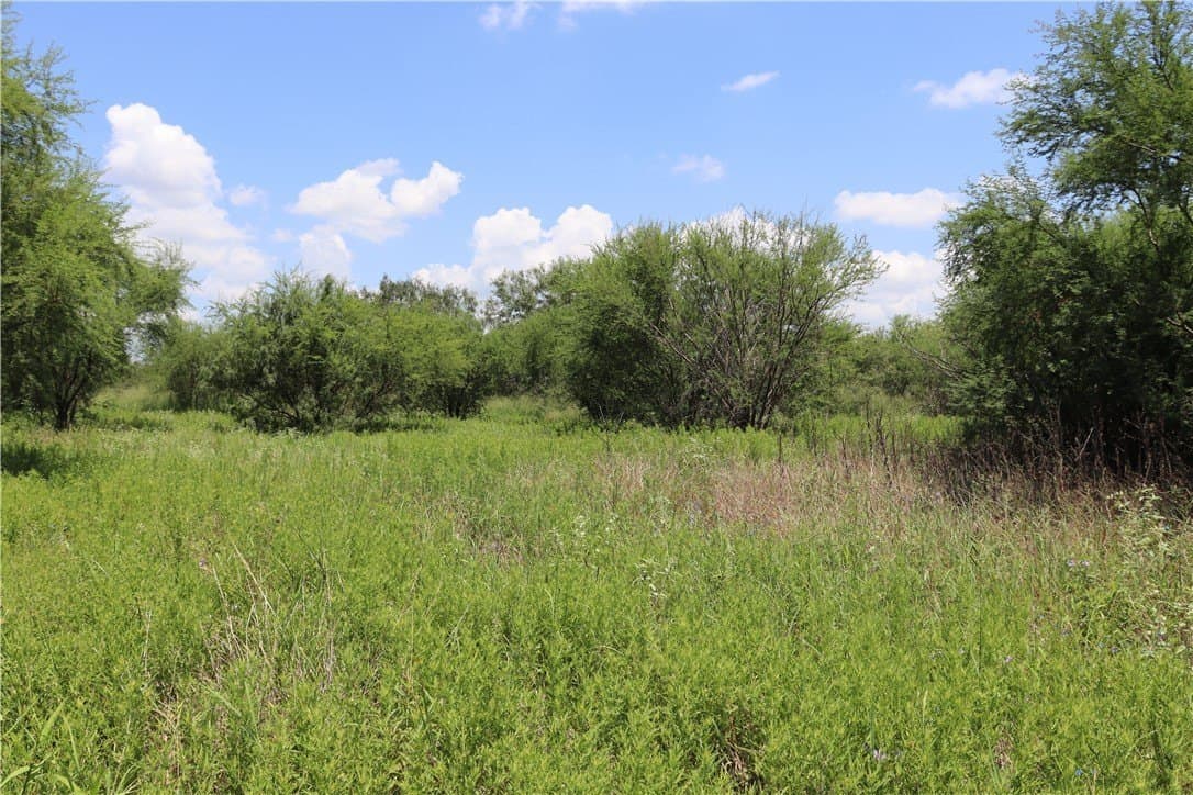 50.94 acres in San Patricio County - photo 36