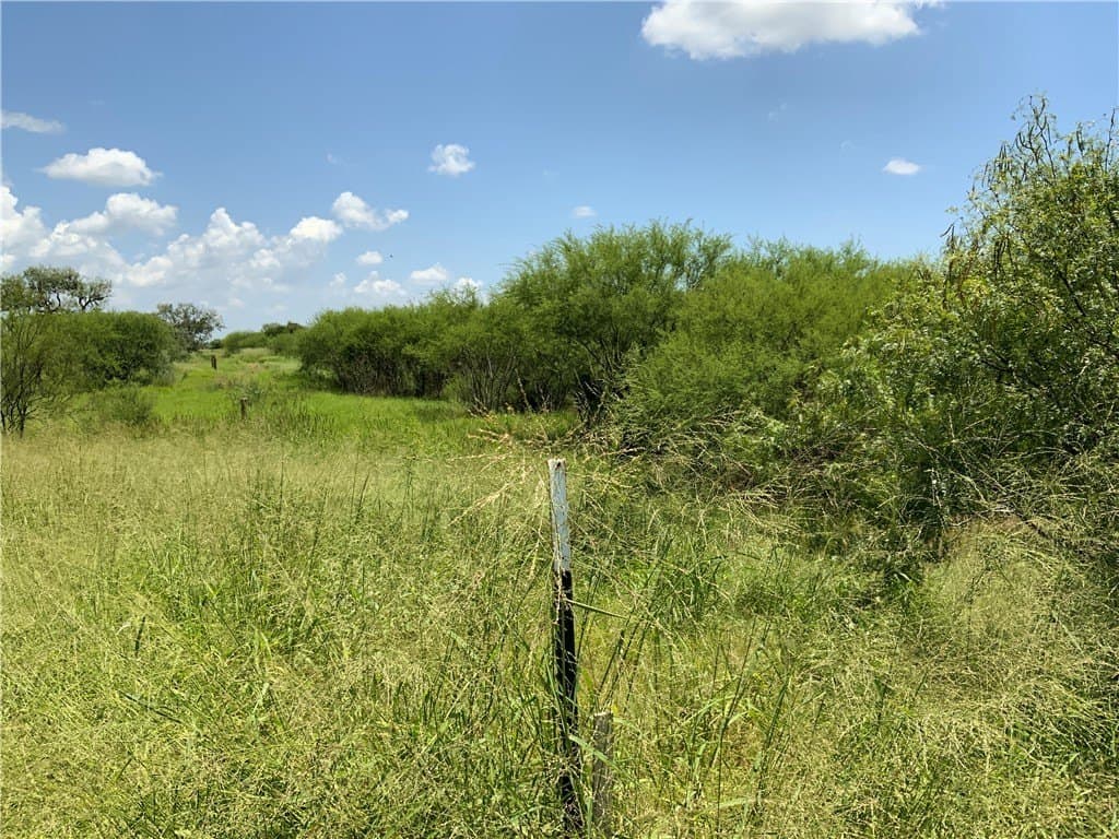 50.94 acres in San Patricio County - photo 13
