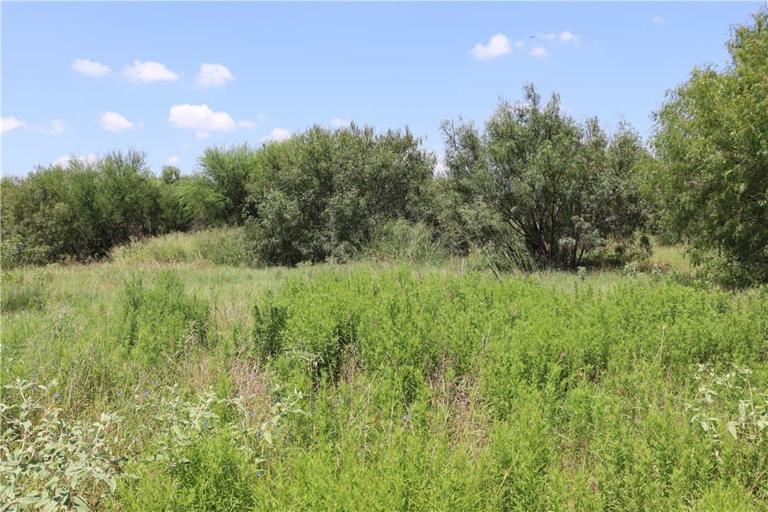 50.94 acres in San Patricio County - photo 2