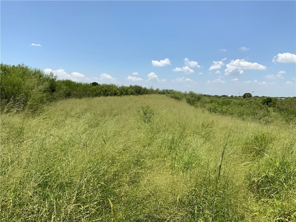 50.94 acres in San Patricio County - photo 9