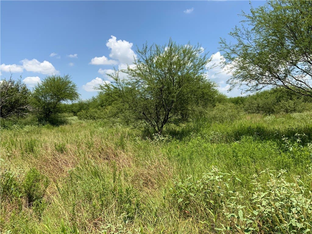 50.94 acres in San Patricio County - photo 8