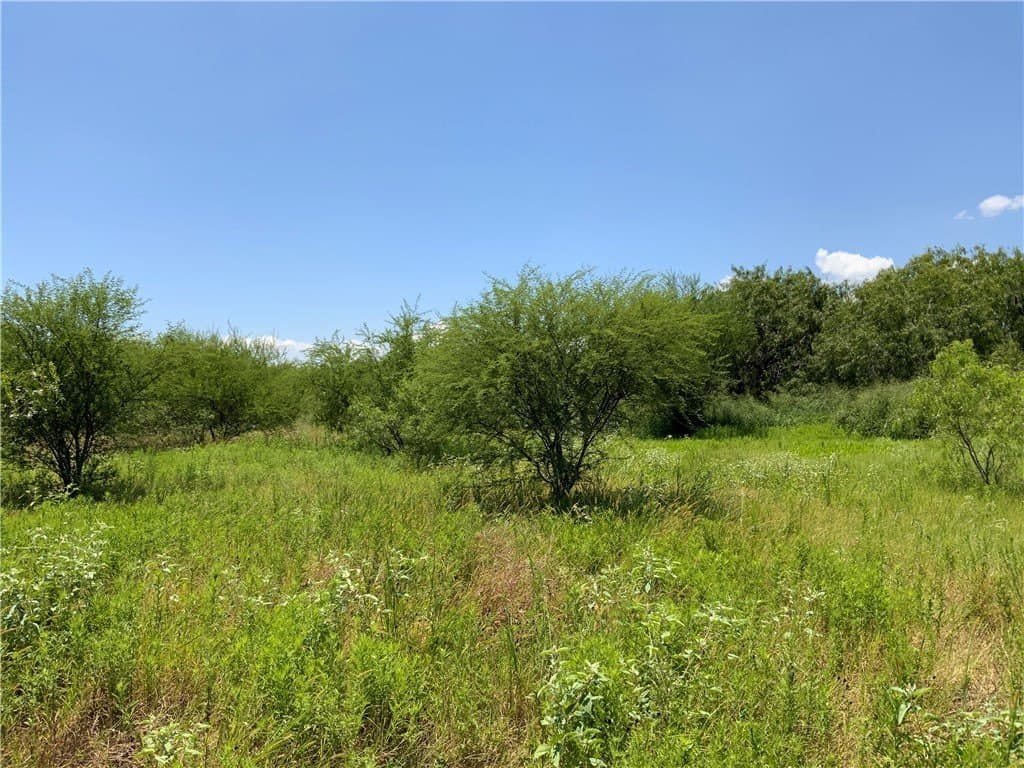 50.94 acres in San Patricio County - photo 7