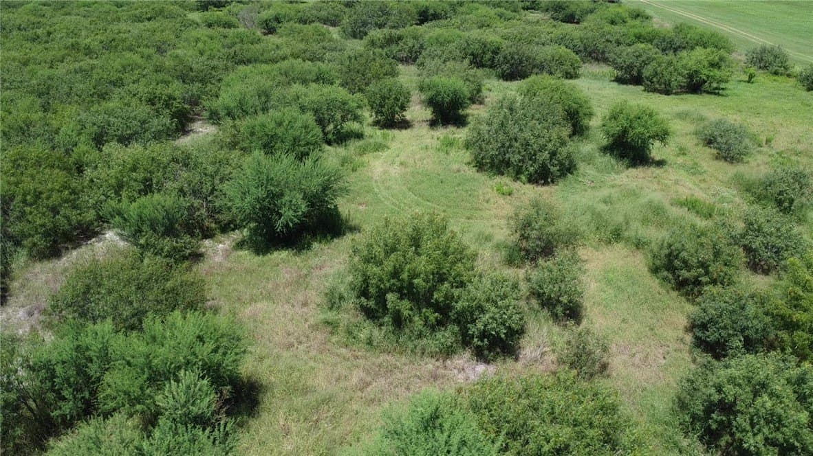 50.94 acres in San Patricio County - photo 32