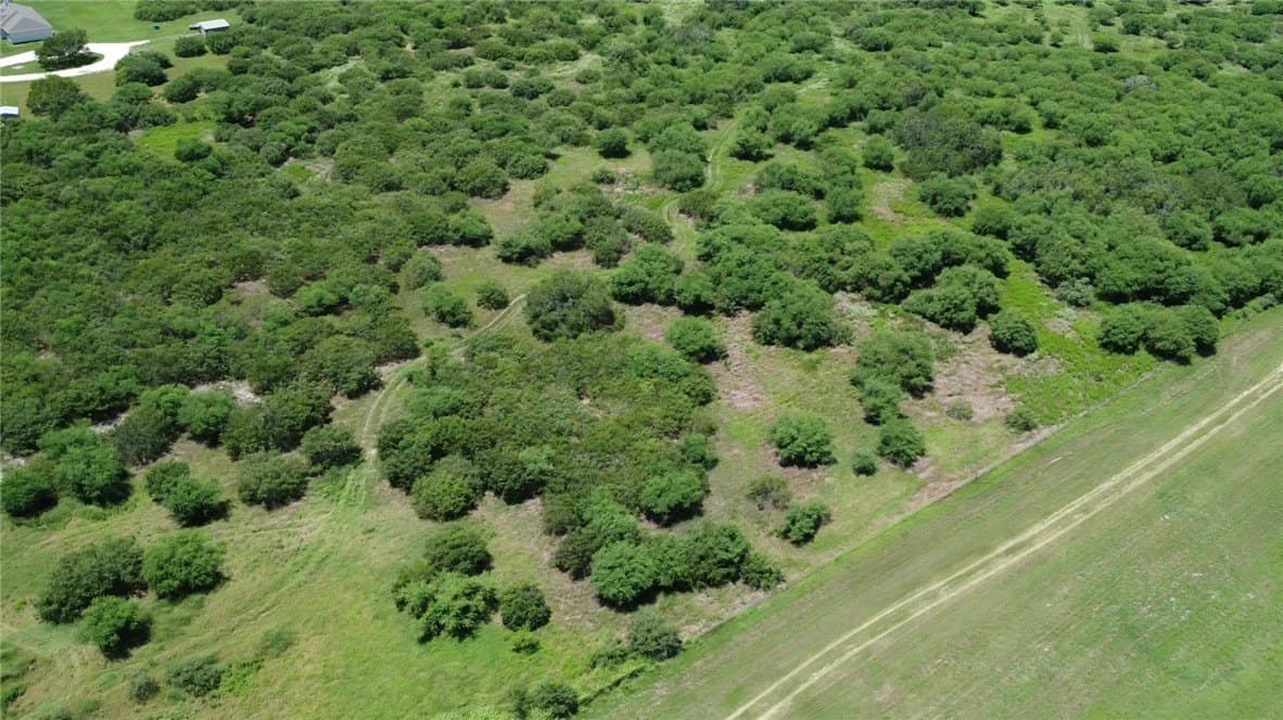 50.94 acres in San Patricio County - photo 30