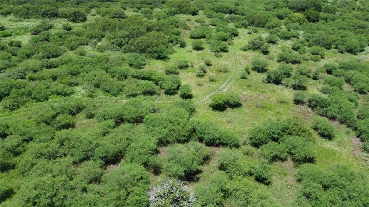 50.94 acres in San Patricio County - photo 28