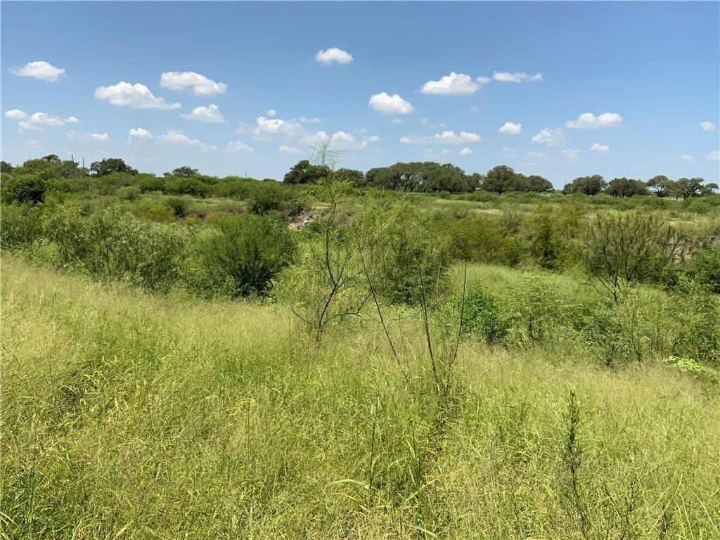 50.94 acres in San Patricio County - photo 14