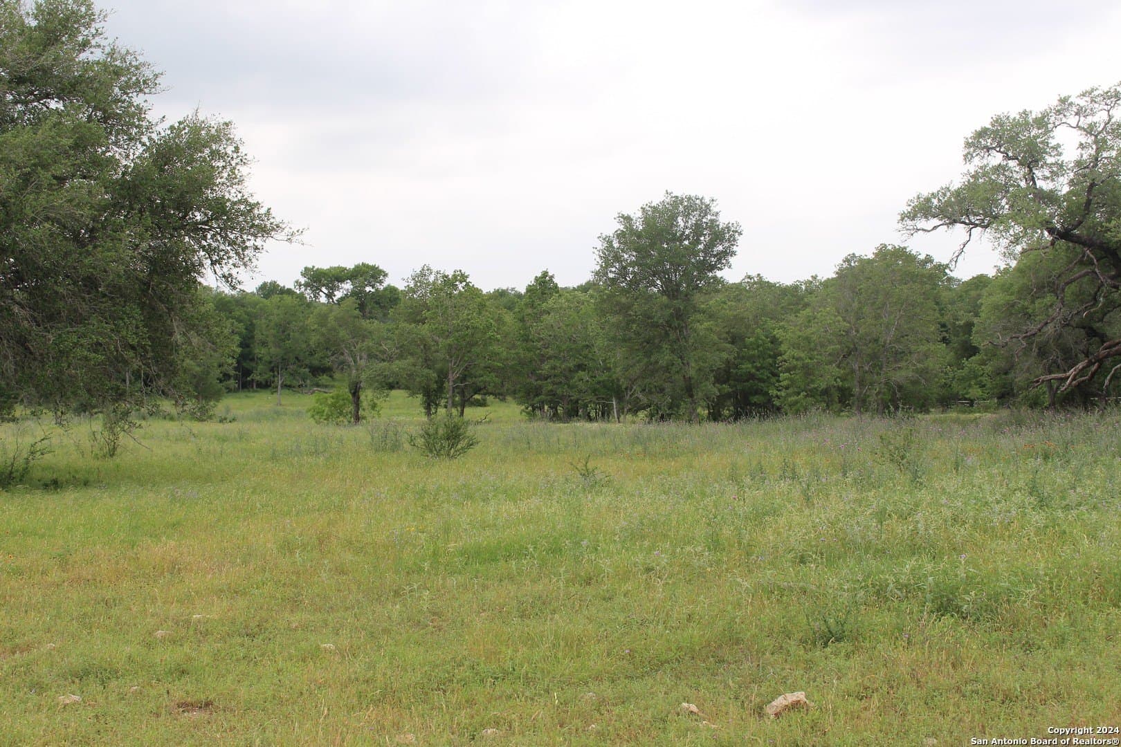 35.77 acres in Guadalupe County - photo 13