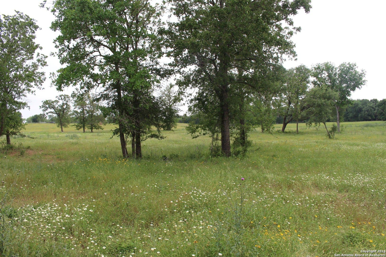 35.77 acres in Guadalupe County - photo 17