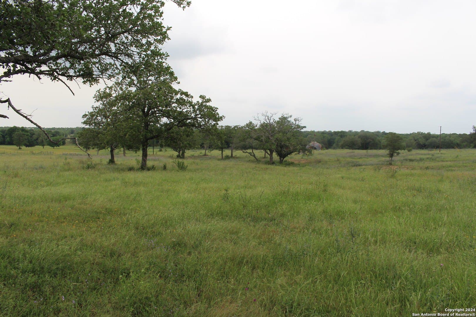 35.77 acres in Guadalupe County - photo 8