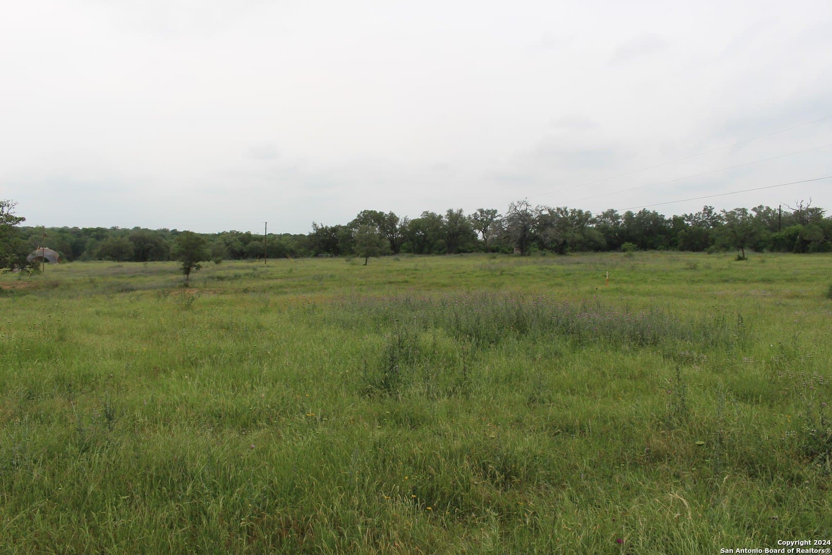 35.77 acres in Guadalupe County - photo 7