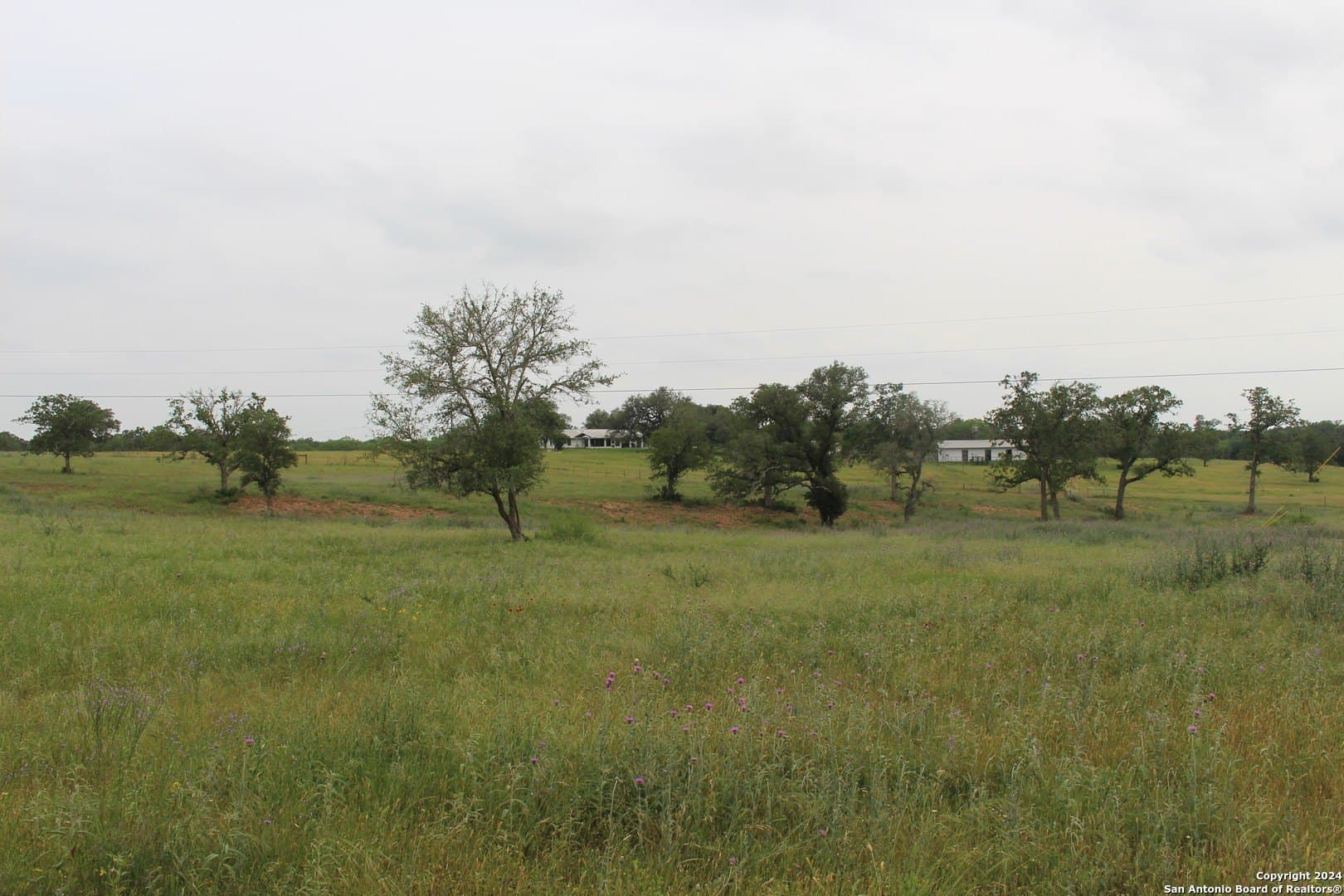 35.77 acres in Guadalupe County - photo 11