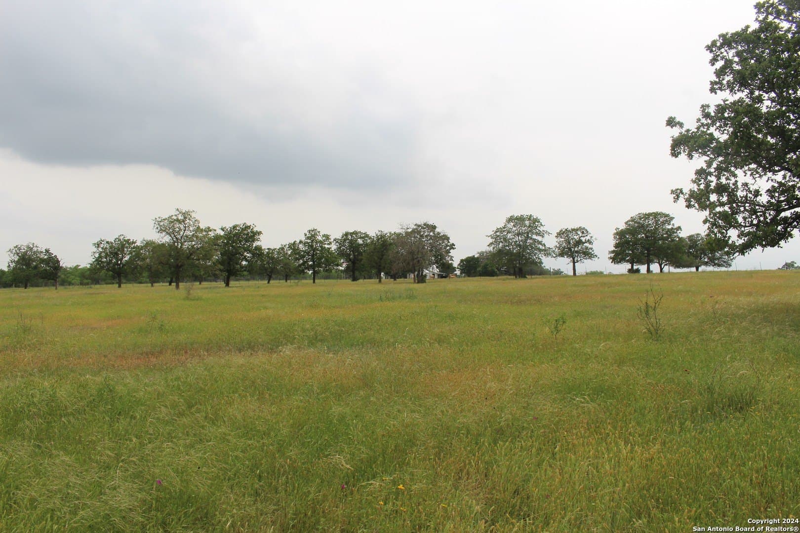 35.77 acres in Guadalupe County - photo 6