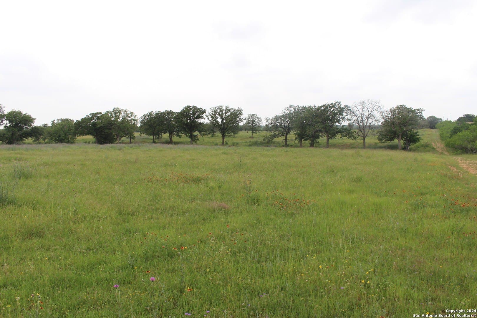35.77 acres in Guadalupe County - photo 3