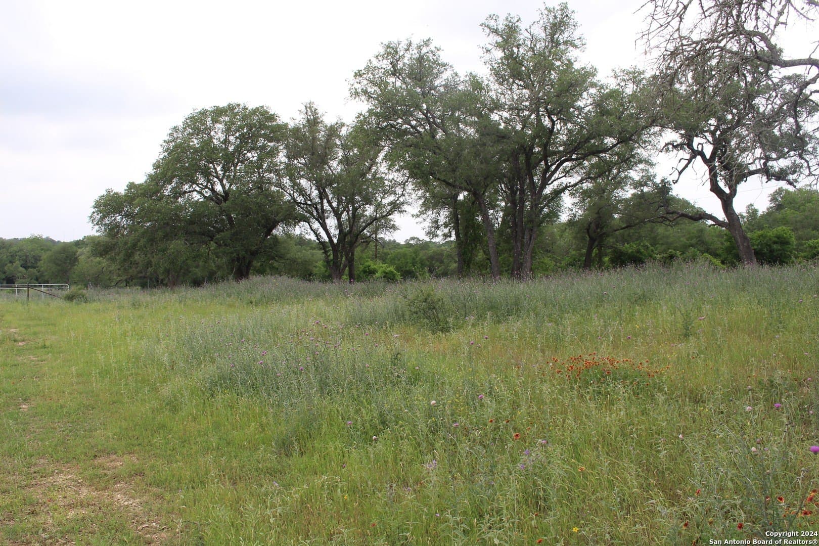 35.77 acres in Guadalupe County - photo 10