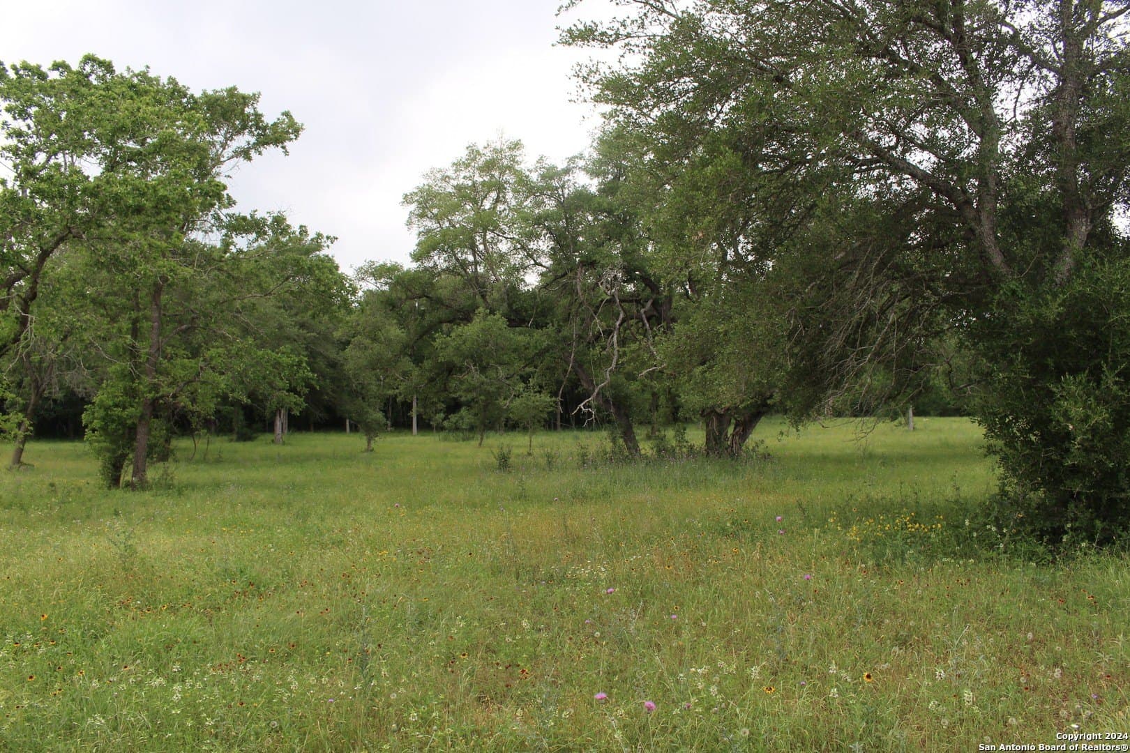 35.77 acres in Guadalupe County - photo 15