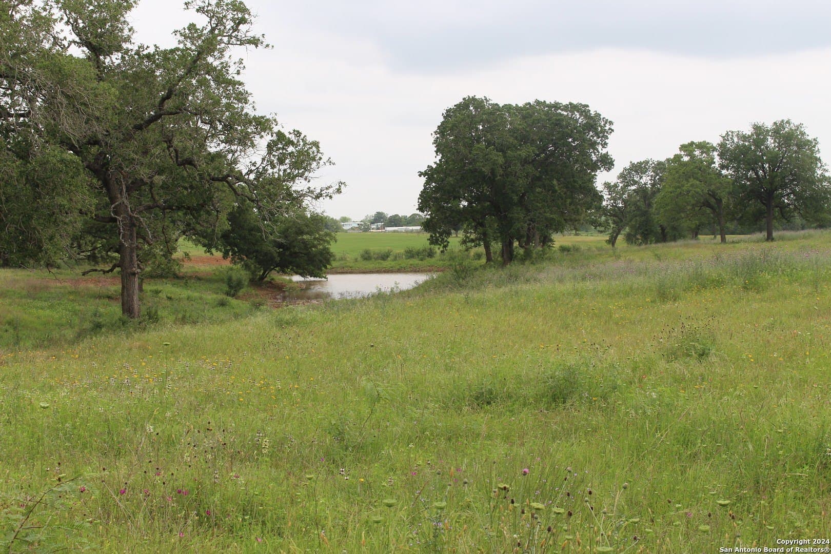 35.77 acres in Guadalupe County - photo 5