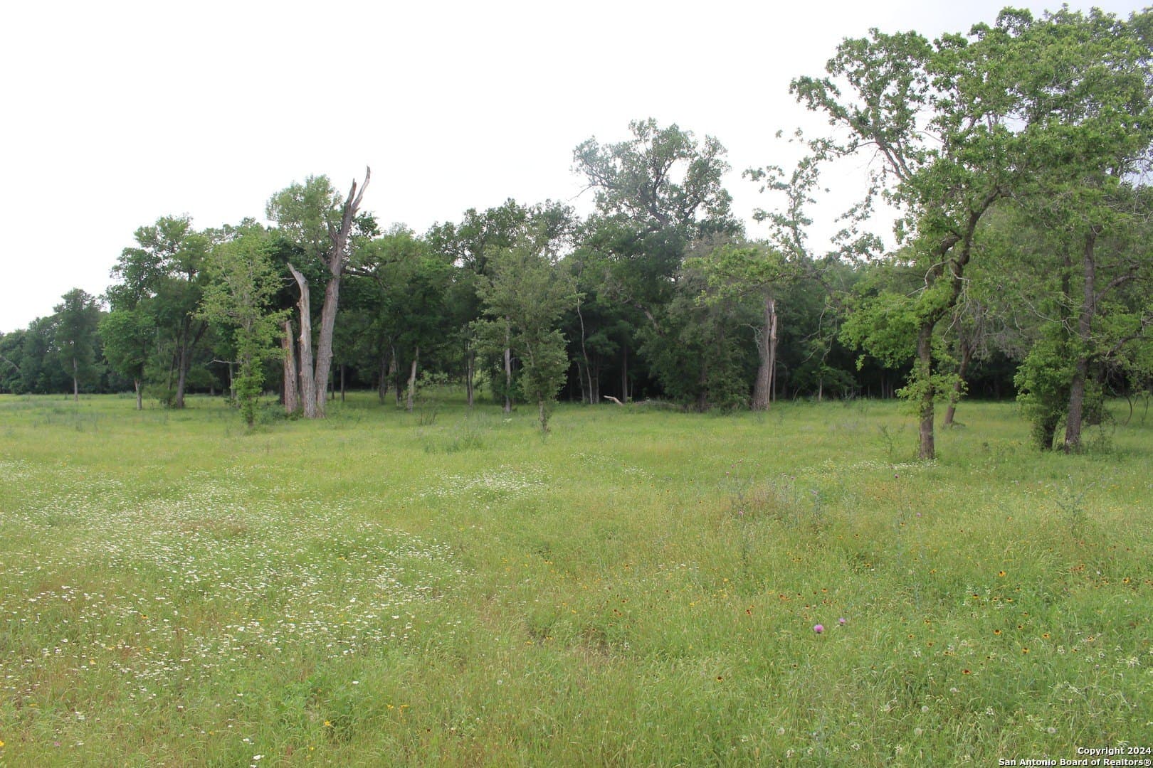 35.77 acres in Guadalupe County - photo 16