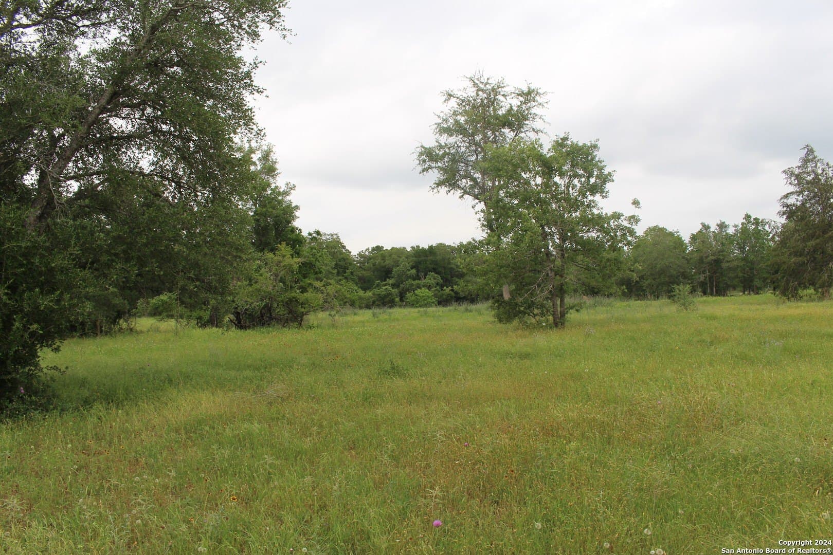 35.77 acres in Guadalupe County - photo 14