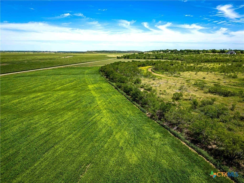 66.5 acres in McLennan County - photo 20
