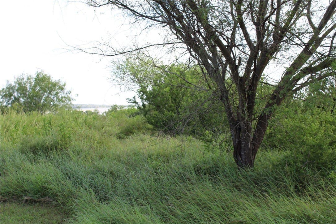 1.8 acres in Live Oak County - photo 5