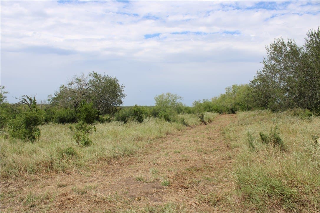 1.8 acres in Live Oak County - photo 3
