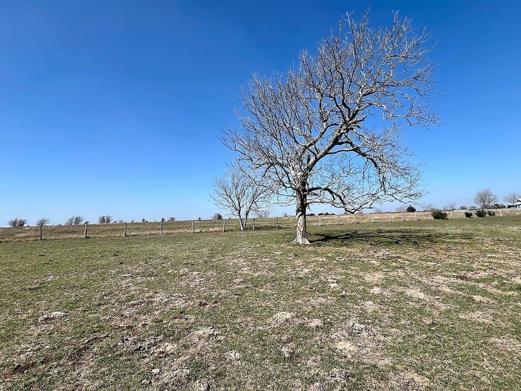 54.3 acres in Fayette County - photo 11