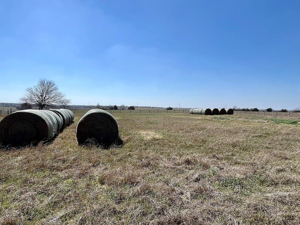 54.3 acres in Fayette County - photo 8