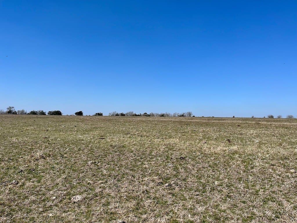 54.3 acres in Fayette County - photo 6