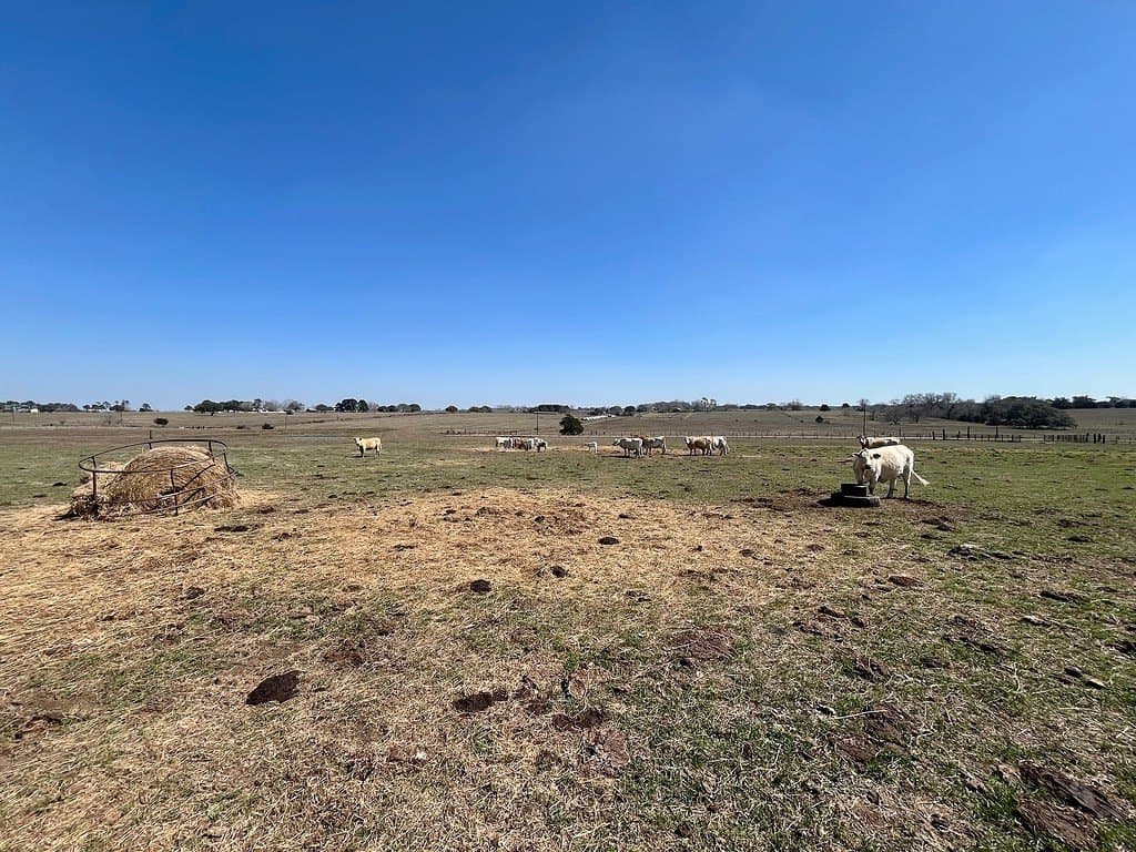 54.3 acres in Fayette County - photo 12