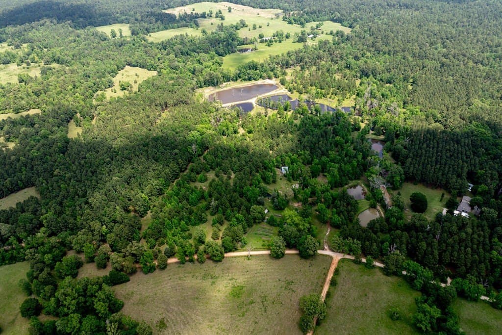 34.82 acres in HOUSTON County - photo 7