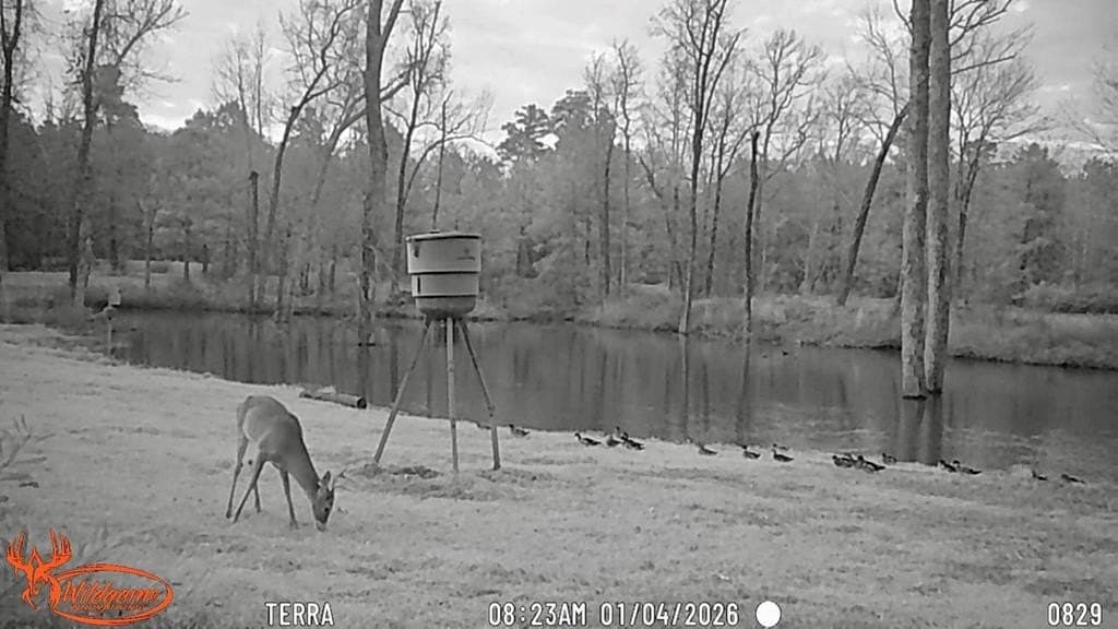 34.82 acres in HOUSTON County - photo 31