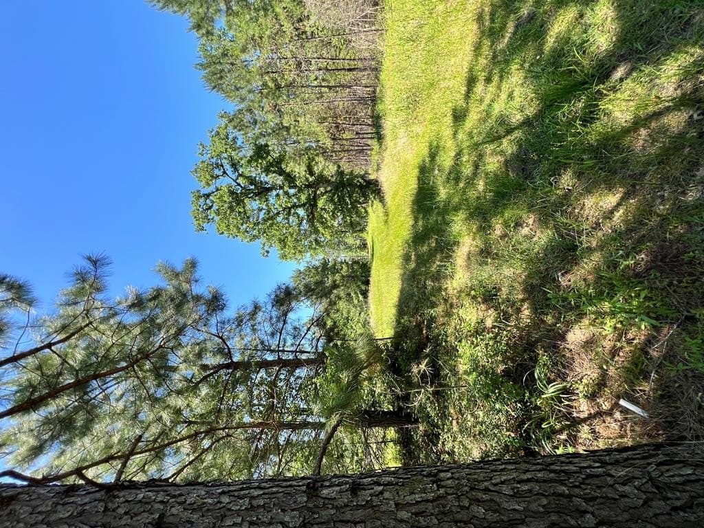 34.82 acres in HOUSTON County - photo 35