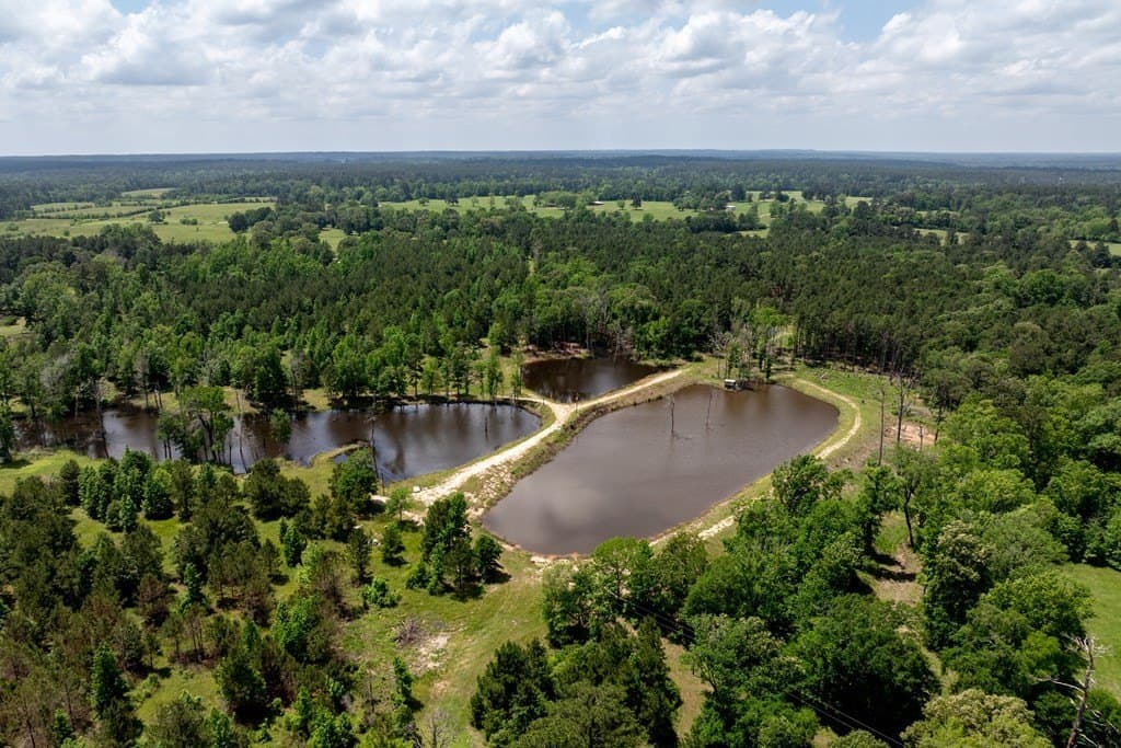 34.82 acres in HOUSTON County - photo 18