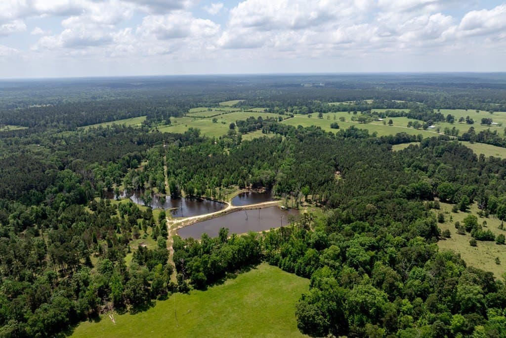 34.82 acres in HOUSTON County - photo 15