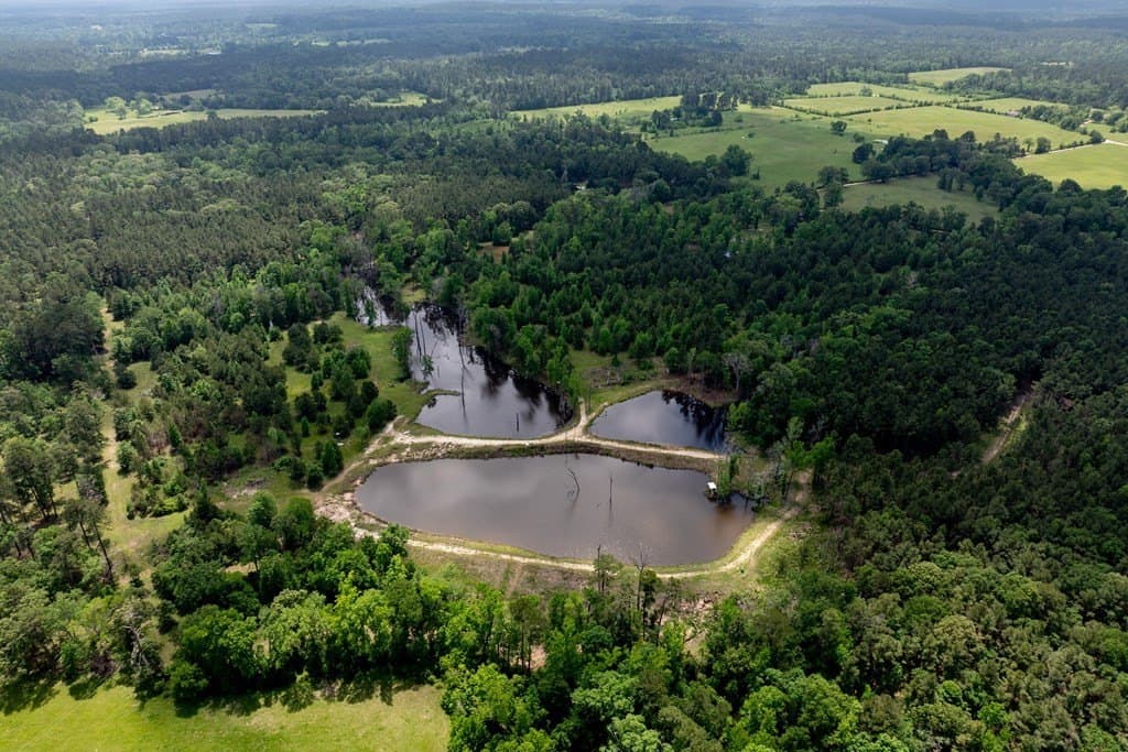 34.82 acres in HOUSTON County - photo 22