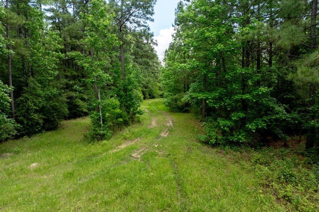 34.82 acres in HOUSTON County - photo 3